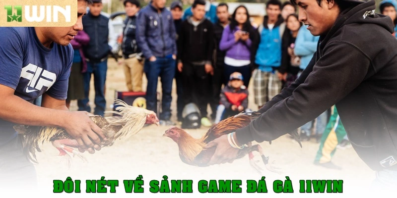 Đôi nét về sảnh game Đá gà 11WIN