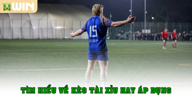 Tìm hiểu về kèo tài xỉu hay áp dụng